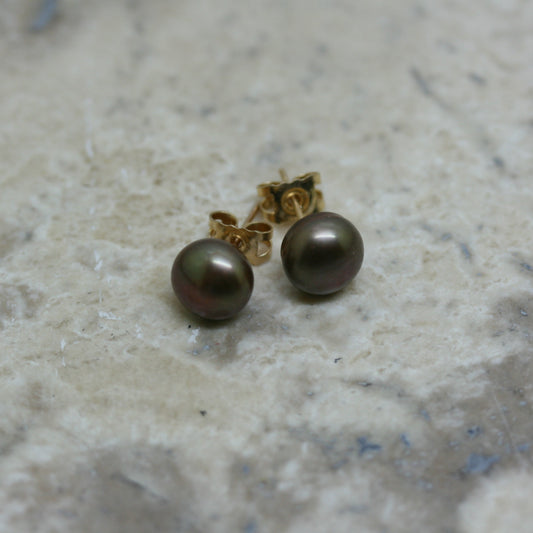 RAW Chocolate Brown Freshwater Button Pearl Earstuds